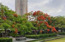 华侨城旅游度假区7
