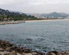 大梅沙海滩3