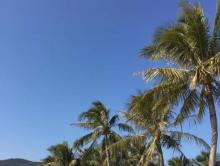 大梅沙海滩8
