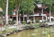 仙湖植物园22