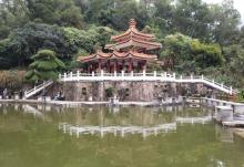 仙湖植物园24