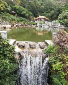 仙湖植物园23