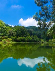 仙湖植物园3