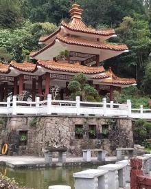 仙湖植物园27