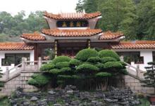 仙湖植物园20