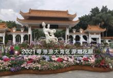 仙湖植物园10
