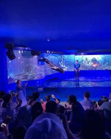 欢乐海岸海洋奇梦馆10
