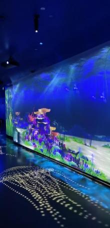 欢乐海岸海洋奇梦馆22