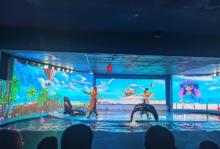 深圳欢乐海岸12