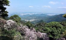 梧桐山国家森林公园19