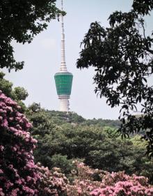梧桐山国家森林公园9