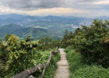 梧桐山国家森林公园2