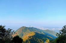 梧桐山国家森林公园14