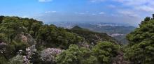 梧桐山国家森林公园15