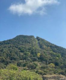 梧桐山国家森林公园24
