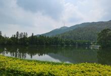 梧桐山国家森林公园12