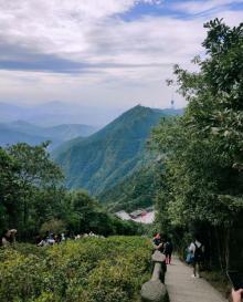 梧桐山国家森林公园17