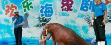 小梅沙海洋世界7