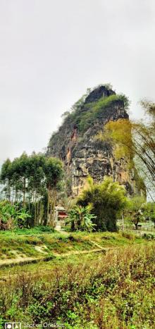 华光寺5