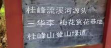 桂峰山风景旅游区1