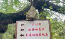 三洲岩1