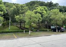 香山森林公园1