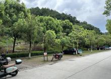 香山森林公园3