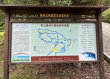 香山森林公园2