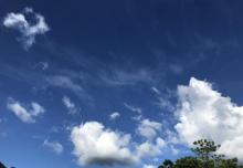 车八岭自然保护区3
