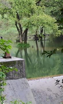 车八岭自然保护区6