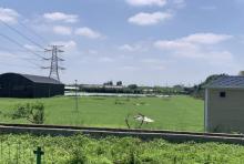 三水好友营轻奢露营地3