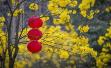 广东韶关芙蓉山国家矿山公园2