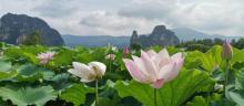 竹林奇境露营地3