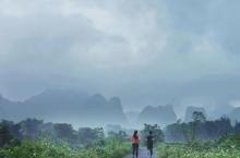 竹林奇境露营地24