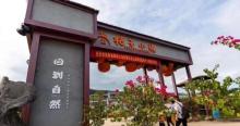 桔子小镇2