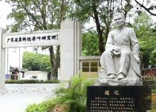 茶叶世界1