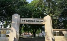 茶叶世界3