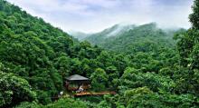 万绿湖・万绿谷度假区5