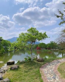 万绿湖・万绿谷度假区21