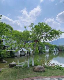 万绿湖・万绿谷度假区19
