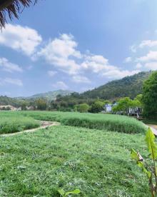 万绿湖・万绿谷度假区25