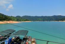 万绿湖・万绿谷度假区29
