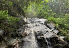 新丰江国家森林公园桂山风景区25