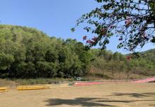 铜鼎山旅游区14