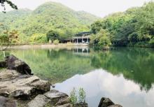 野趣沟19