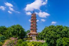 河源恐龙文博园2