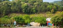 万绿湖风景区22