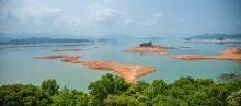 万绿湖风景区19