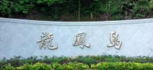 万绿湖风景区9