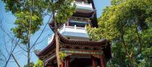 万绿湖风景区18